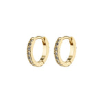 Load image into Gallery viewer, Gold hoop earrings with embedded stones on a white background