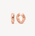 Load image into Gallery viewer, HILLBERG & BERK Colourblock Starburst Rose Gold Hoops