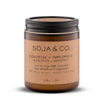 Load image into Gallery viewer, Soy Wax Candle | Eucalyptus + Grapefruit
