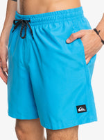 Load image into Gallery viewer, QUIKSILVER Everyday 17&quot; Volleys swim Trunk -

