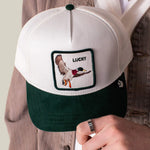 Load image into Gallery viewer, GOORIN BROS Suede Duck Trucker Hat
