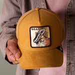 Load image into Gallery viewer, GOORIN BROS Golden Goat
