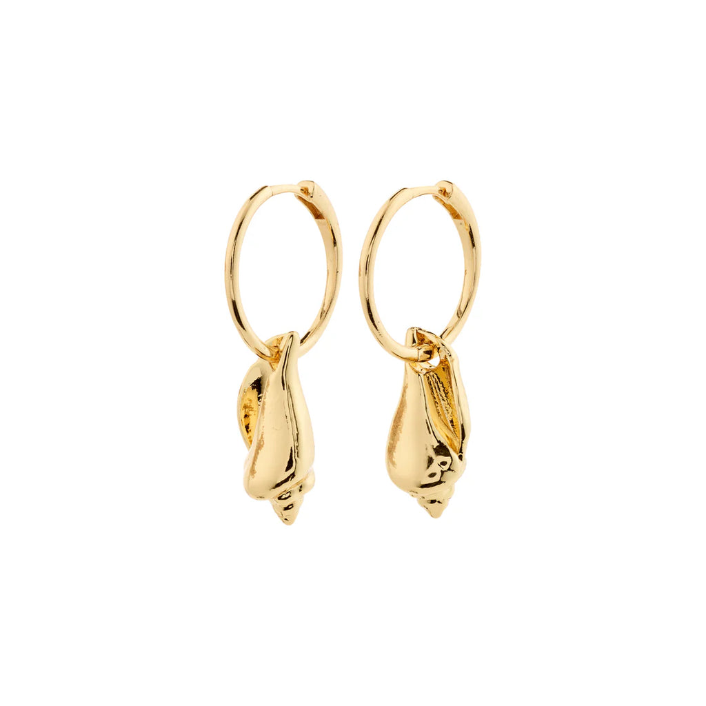 Gold hoop earrings with seashell pendant. 