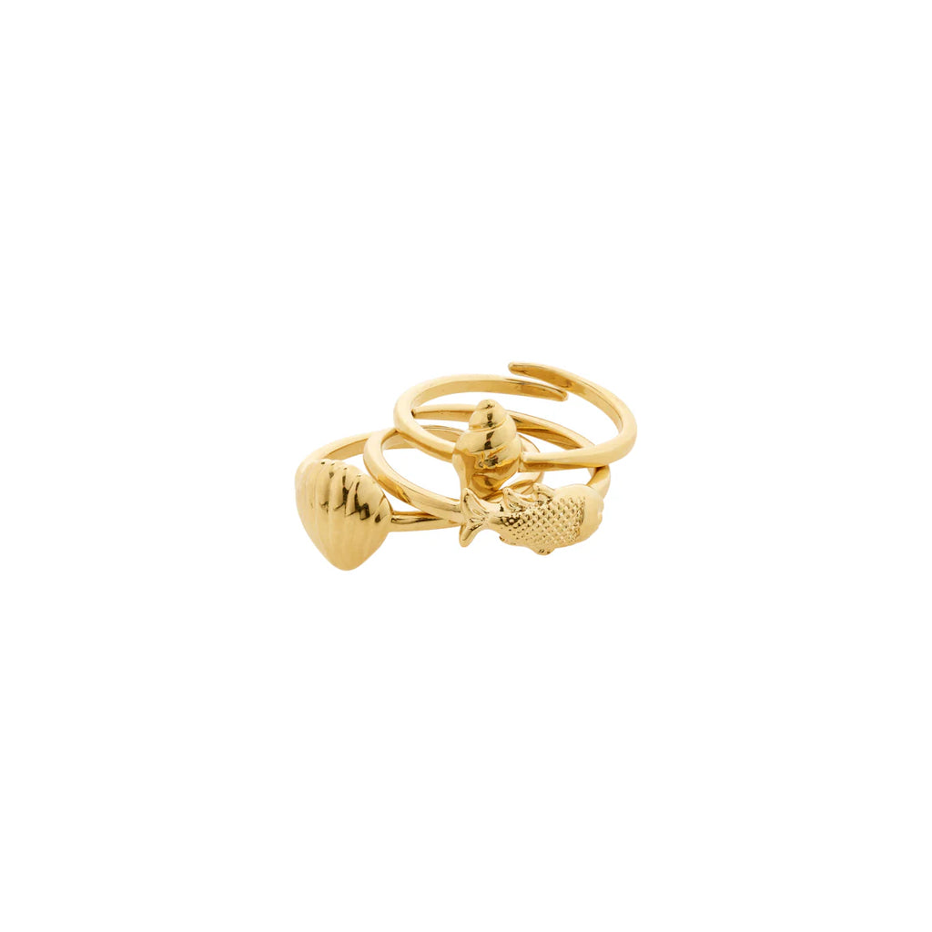 Set of gold rings with fish designs on a white background