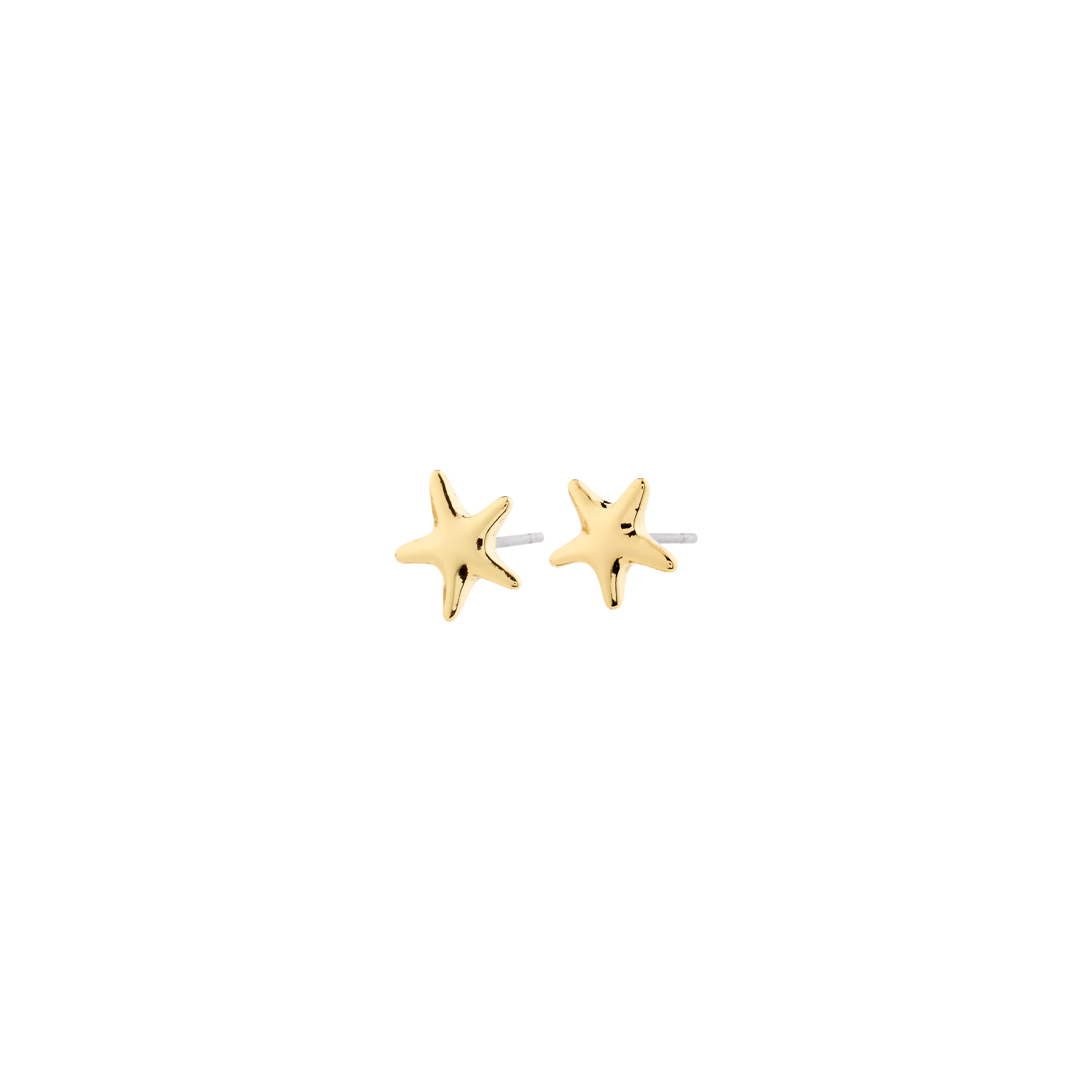Gold star-shaped earrings on a white background