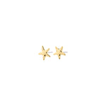 Load image into Gallery viewer, Gold star-shaped earrings on a white background
