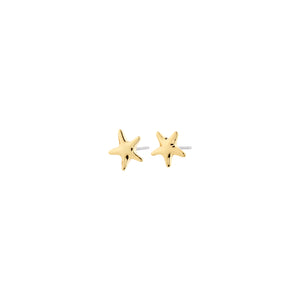 Gold star-shaped earrings on a white background