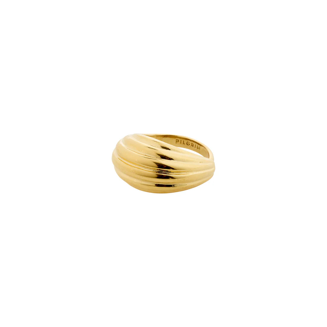 PILGRIM Asle Ring