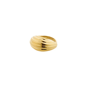 PILGRIM Asle Ring