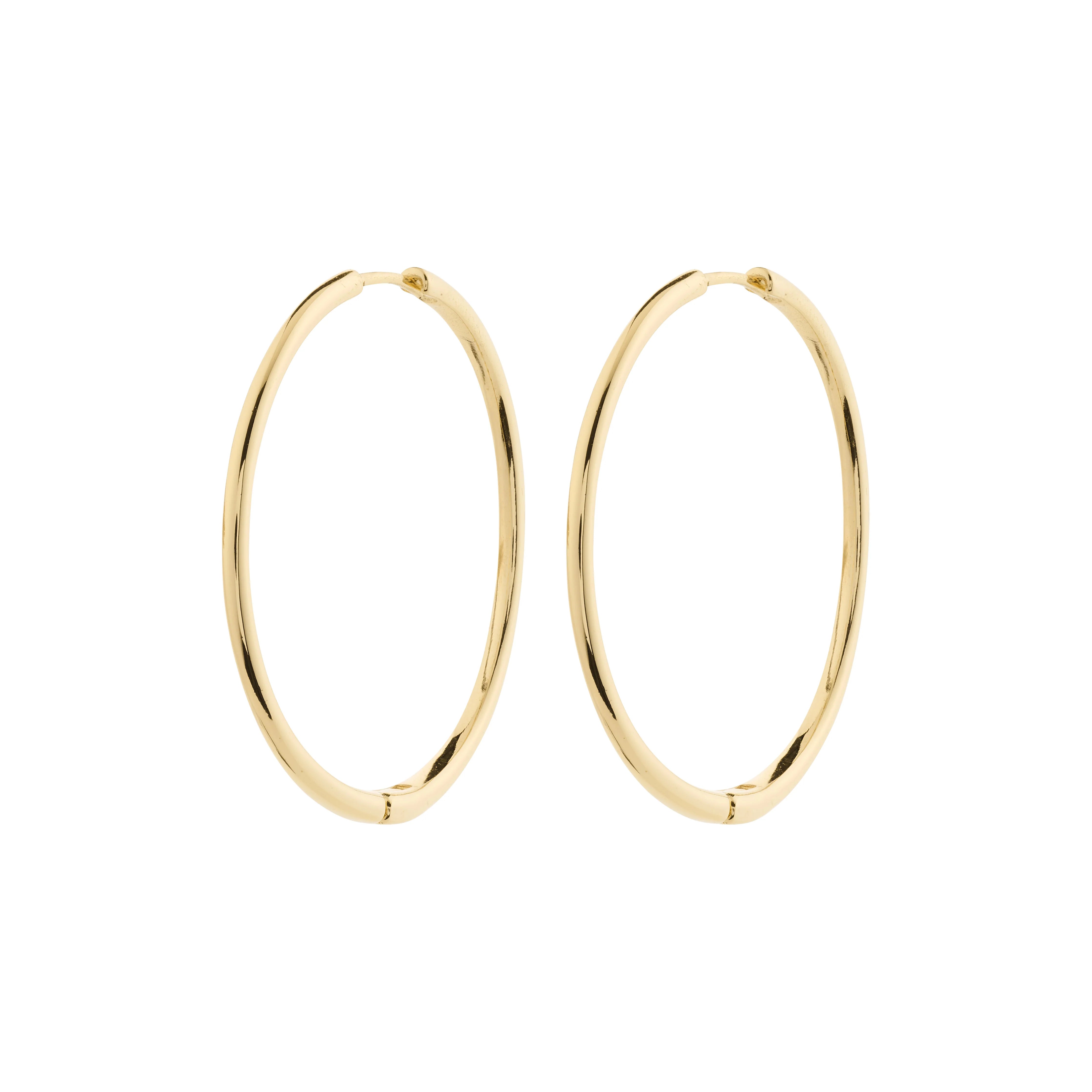 Gold hoop earrings on a white background