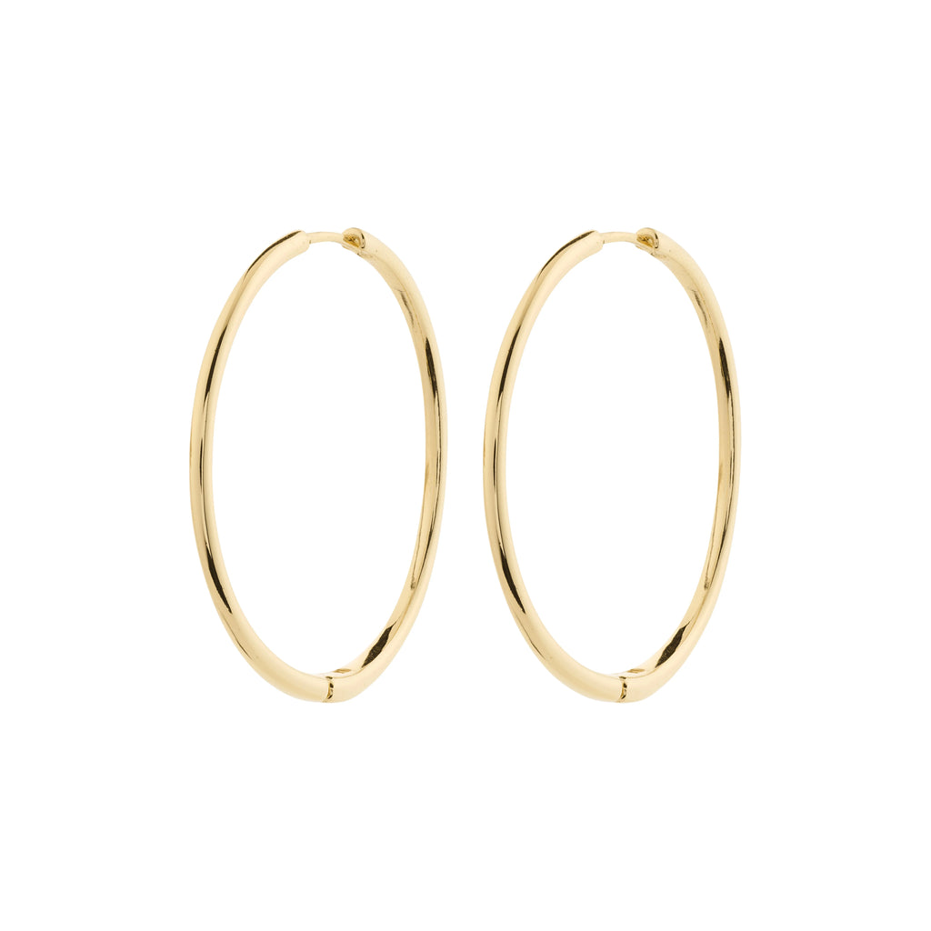 Gold hoop earrings on a white background