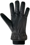 AUCLAIR Aiden Gloves