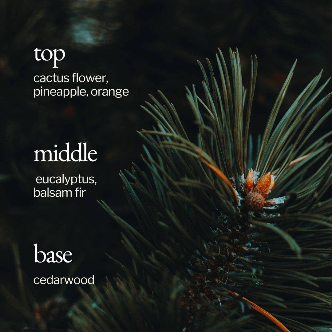 Soy Wax Candle | Fir + Cactus Flower: 8oz