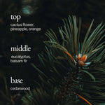 Load image into Gallery viewer, Soy Wax Candle | Fir + Cactus Flower
