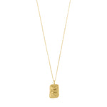 Load image into Gallery viewer, PILGRIM Pisces Recycled Zodiac Sign Necklace
