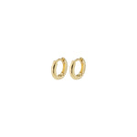 Load image into Gallery viewer, PILGRIM Tyra Recycled Chunky Mini Hoop Earrings
