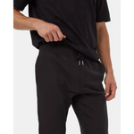 Load image into Gallery viewer, TENTREE InMotion Stretch Pant
