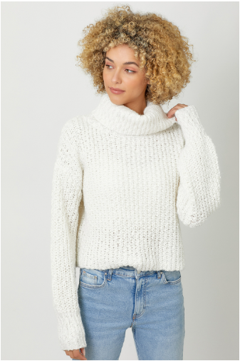 MYSTREE Turtle Neck Cropped Sweater