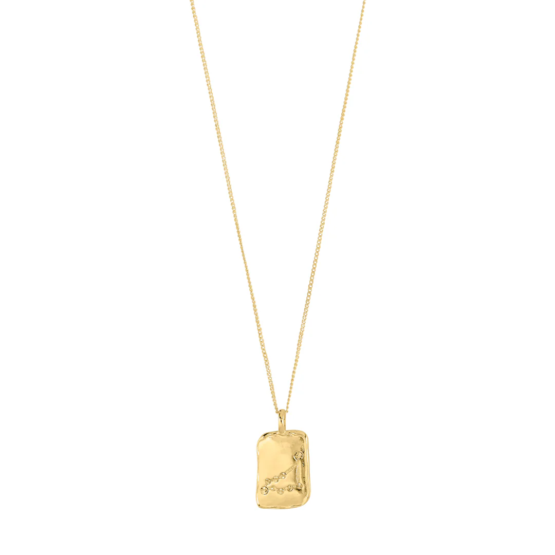Gold necklace with a pendant on a white background