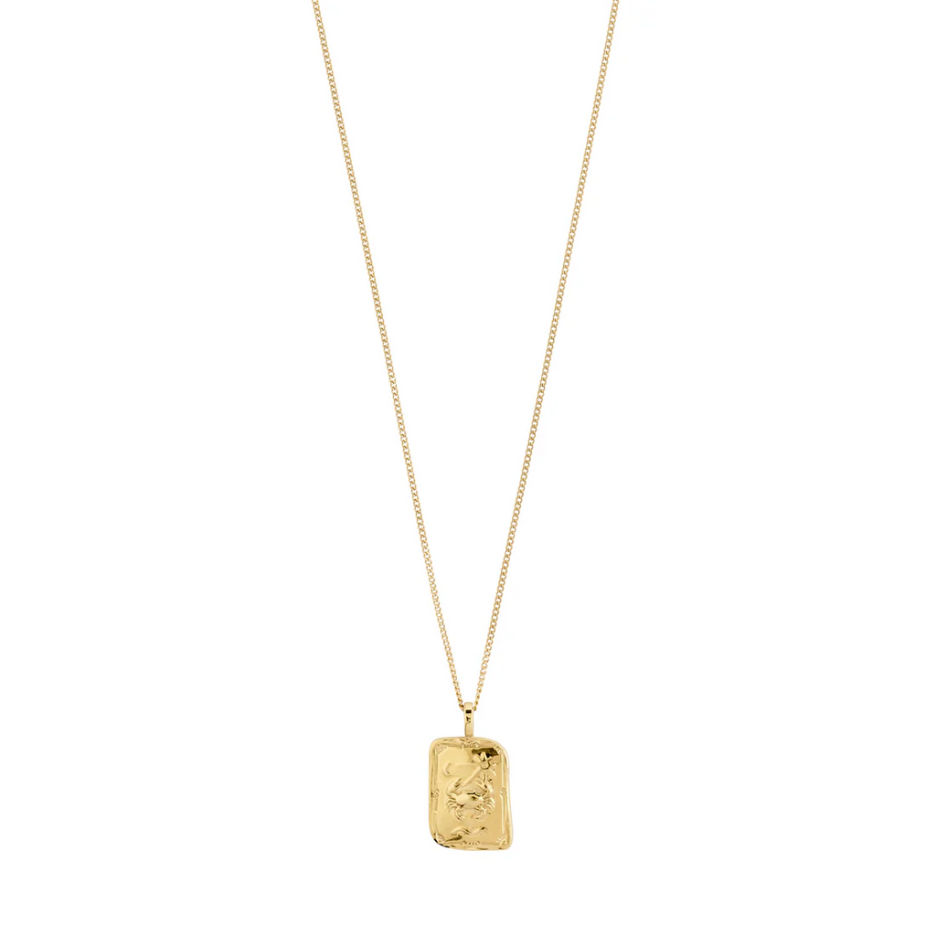 Gold necklace with a rectangular pendant on a white background