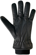 Load image into Gallery viewer, AUCLAIR Aiden Gloves

