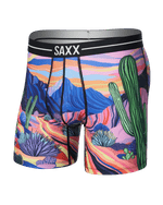 Load image into Gallery viewer, Colorful desert landscape boxer briefs with cacti design on a transparent background
