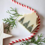 Load image into Gallery viewer, SOAK Christmas Tree Farm Soap Bar
