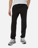 Load image into Gallery viewer, TENTREE InMotion Pant Light
