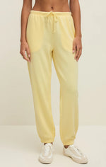 Load image into Gallery viewer, Person wearing light yellow sweatpants on a plain background
