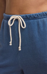 Load image into Gallery viewer, ZSUPPLY Downtown Knit Denim Jogger
