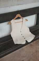 Load image into Gallery viewer, ZSUPPLY Belfort Pinstripe Vest
