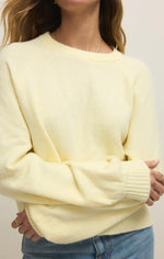 Load image into Gallery viewer, ZSUPPLY Coming Up Sweater
