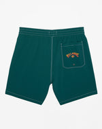 Load image into Gallery viewer, BILLABONG Riot Layback 18.5&quot; Swim Short
