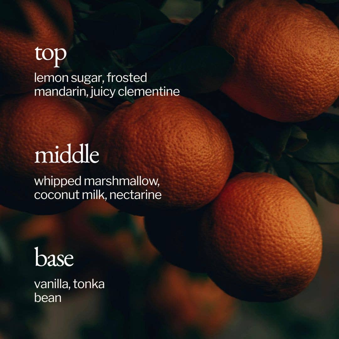 Soy Wax Candle | Marshmallow + Clementine: 8oz - Cotton Wick