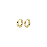 Load image into Gallery viewer, Gold hoop earrings on a white background
