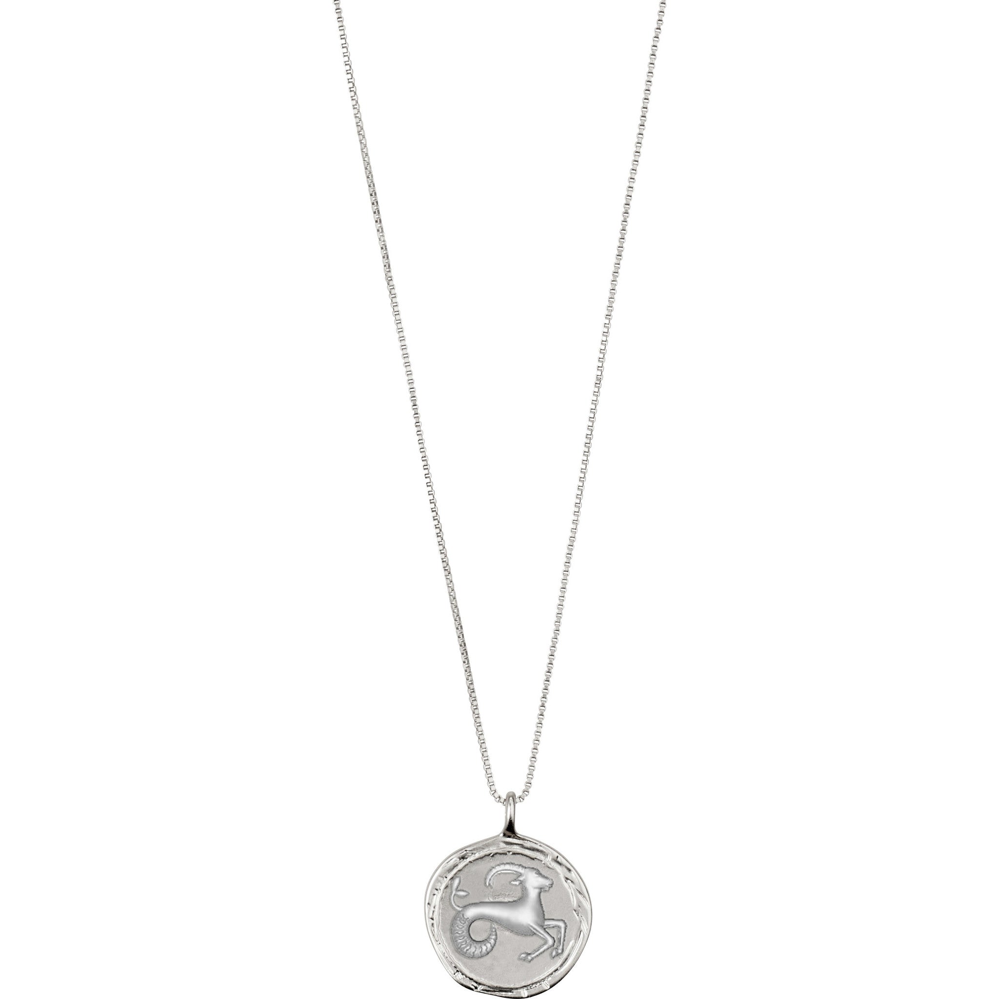 PILGRIM Horoscope Necklace - Capricorn