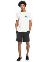 Load image into Gallery viewer, QUIKSILVER Essentials 19&quot; SweatShorts
